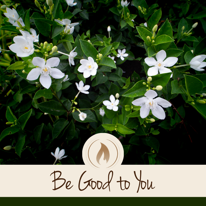 Be Good to You