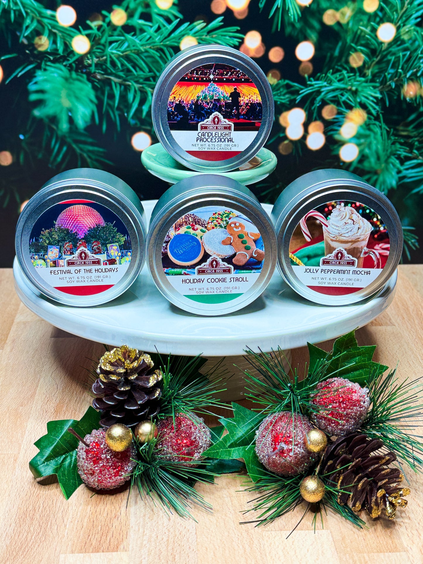 EPCOT Holiday Bundle