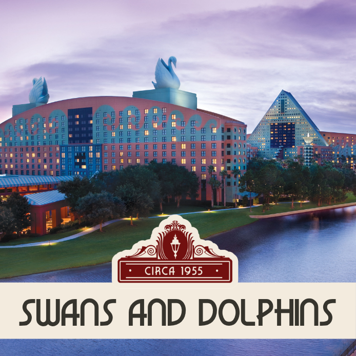 Swans and Dolphins