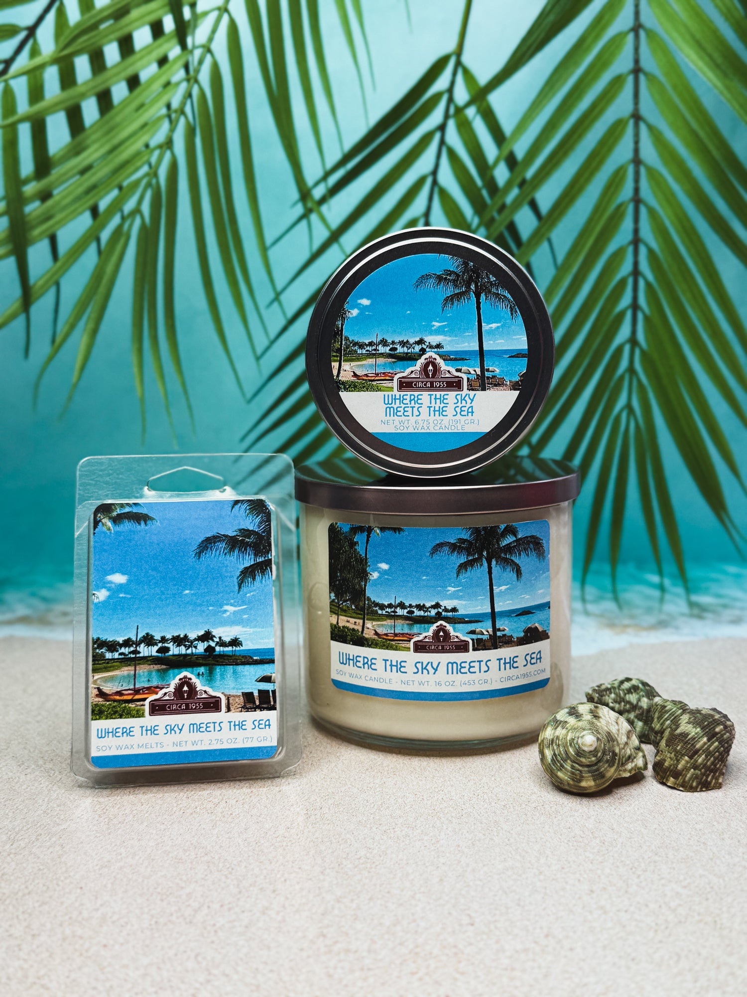 Our Picks - Spring Edition