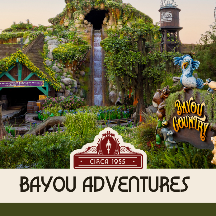 Bayou Adventures