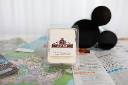 A plastic, six-cavity clamshell melt sitting on top of a map of Disneyland with a black mickey head icon in the background.