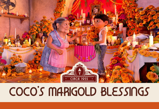 Coco’s Marigold Blessings