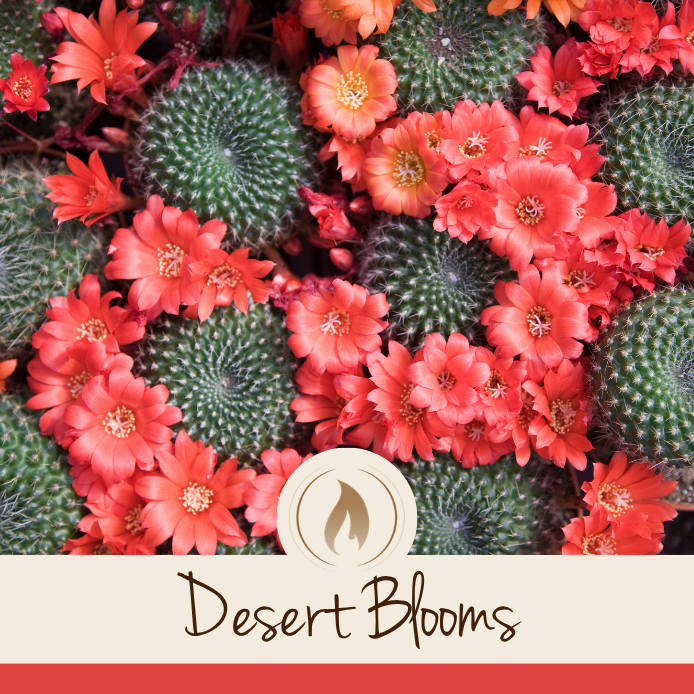 Desert Blooms