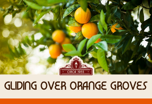 Gliding Over Orange Groves