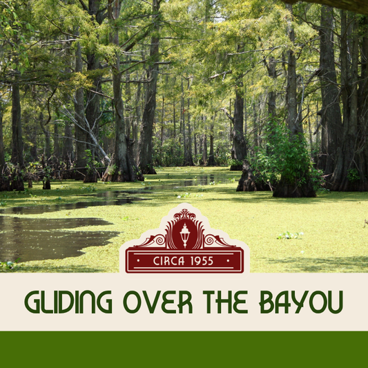 Gliding Over the Bayou
