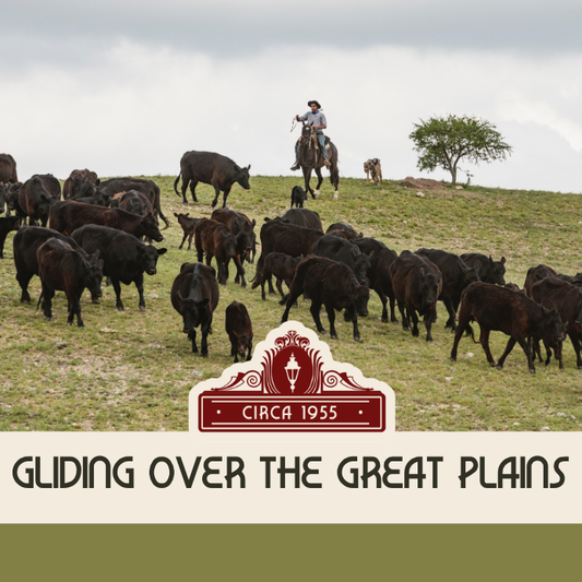 Gliding over the Great Plains