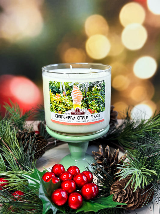 Cranberry Citrus Float