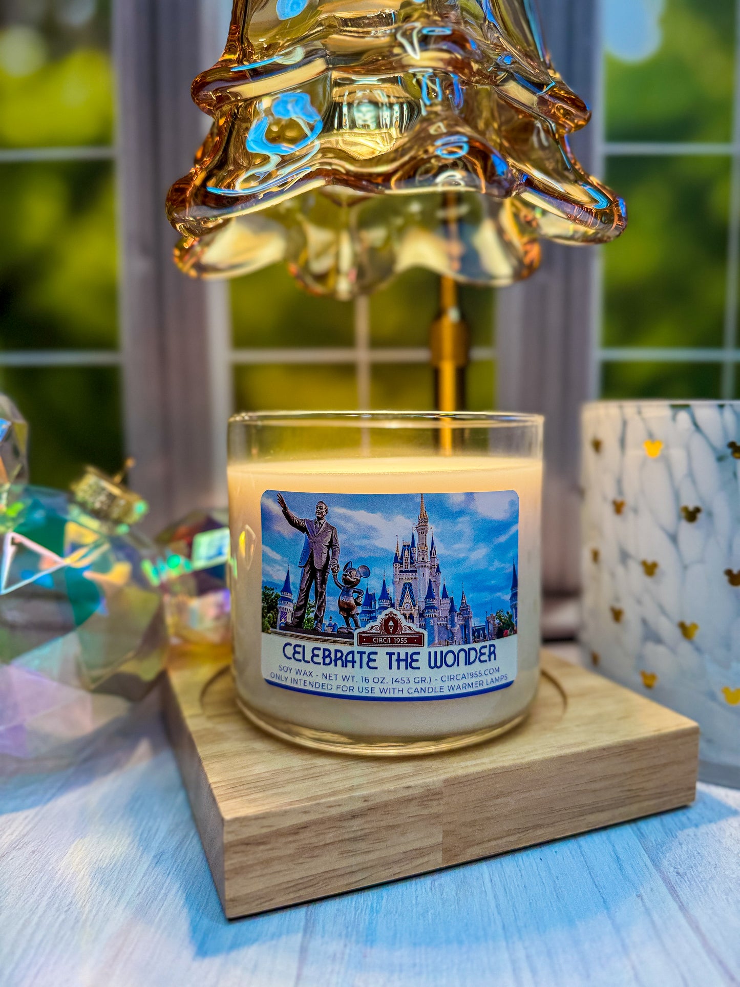 Celebrate the Wonder