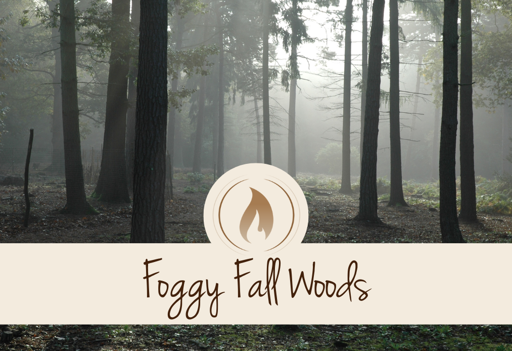 Foggy Fall Woods