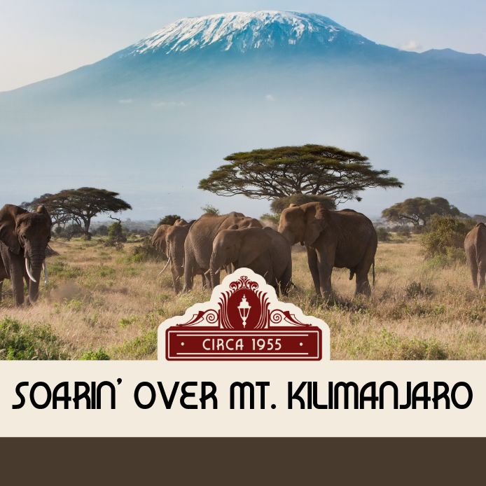 Soarin' Over Mt. Kilimanjaro